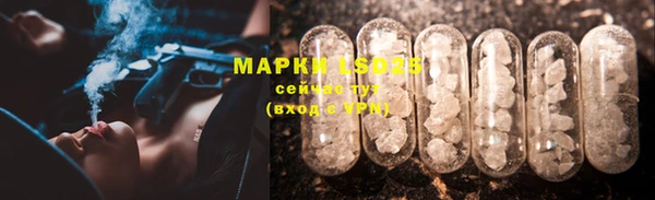 гидропоника Алзамай