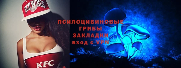 гидропоника Алзамай