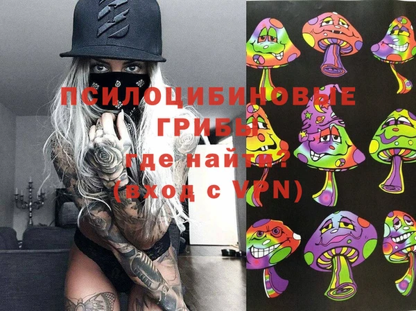 гидропоника Алзамай