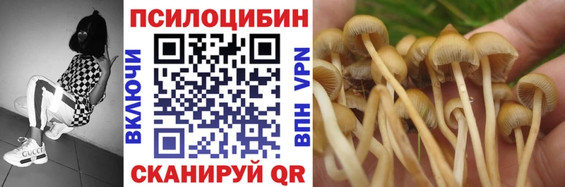 цены наркотик  Красноуральск  Псилоцибиновые грибы MAGIC MUSHROOMS 